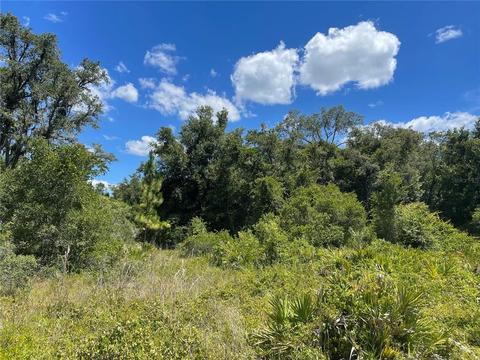 35273 Cornerstone Dr, Webster, FL 33597 photo 1