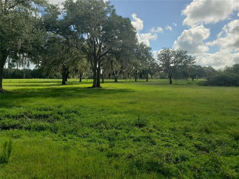 8751 State Rd 50, Webster, FL 33597 photo 1