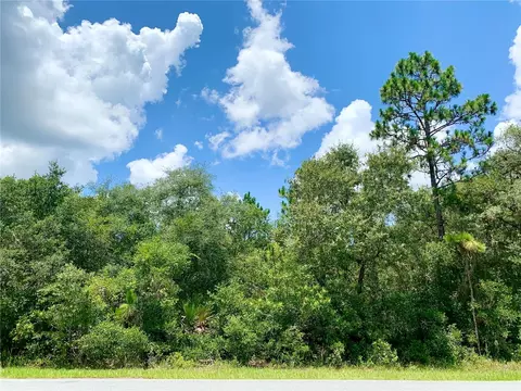 Lot 5 Royal Trails Road, Eustis, FL 32736