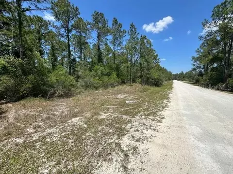 tbd Otter Dr #LOT 44, Webster, FL 33597