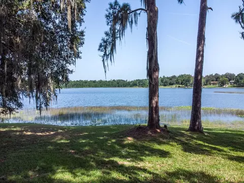 Silver Drive, Umatilla, FL 32784