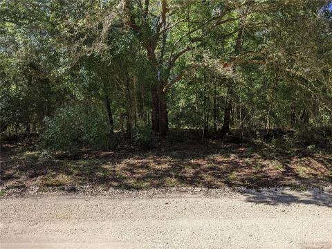 138 E Brandon St, Hernando, FL 34442