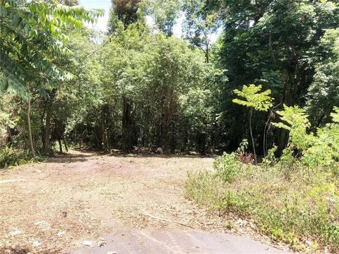 410 Pinecrest Rd, Mount Dora, FL 32757