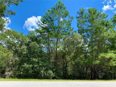 Lot 5 Aspen Street, Eustis, FL 32736