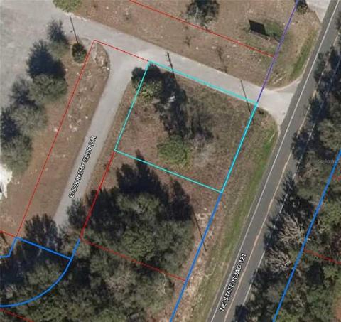 E Country Club Drive, Williston, FL 32696