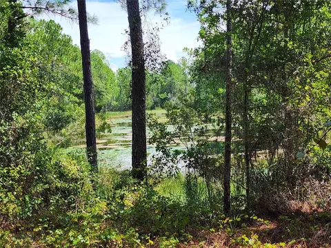 34210 Berryhill Dr, Webster, FL 33597