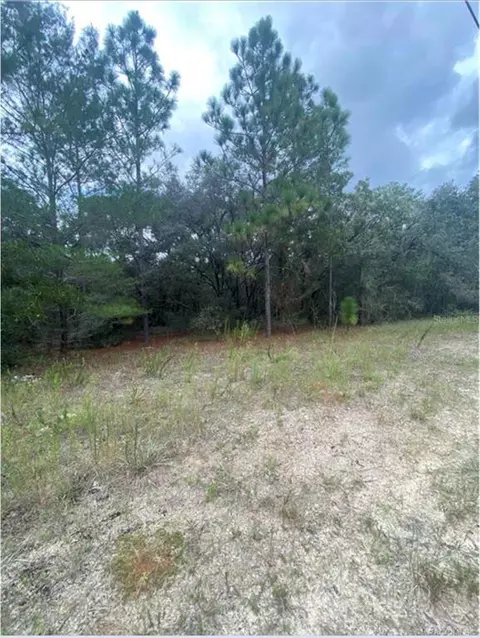 4677 W Citrus Springs Blvd, Citrus Springs, FL 34433