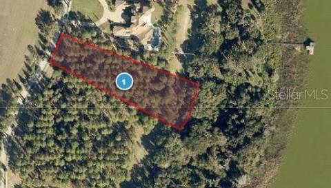17039 Crete Way, Montverde, FL 34756
