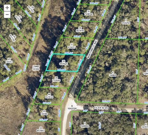 Northwest Avenue, Webster, FL 33597