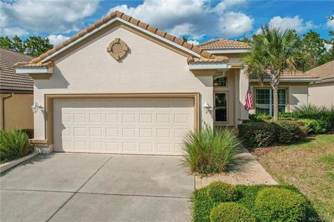 1261 W Diamond Shore Loop, Hernando, FL 34442 photo 1