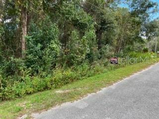 Tbd SE 154th Lane, Summerfield, FL 34491