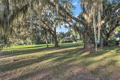 Spring Drive, Yalaha, FL 34797