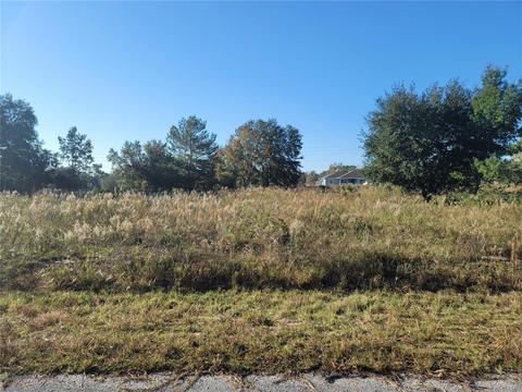 Tbd Malauka Drive, Ocklawaha, FL 32179