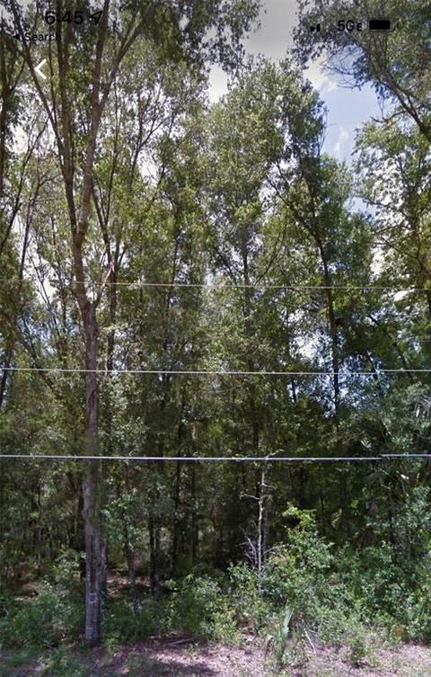 309 N Savary Ave, Inverness, FL 34453