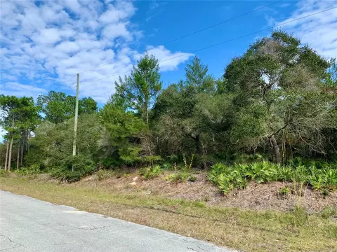Ligustrum Street, Eustis, FL 32736