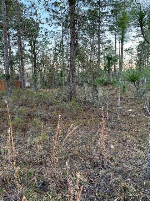 N/a, Bronson, FL 32621