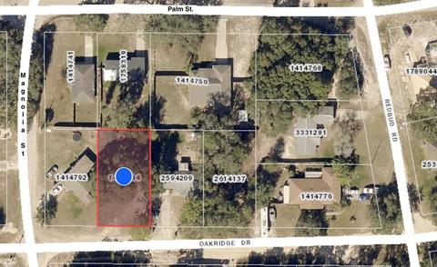 000 Oakridge Dr, Lady Lake, FL 32159