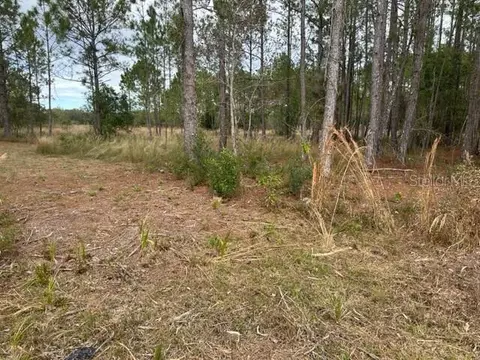 Otter Drive Lot 0580, Webster, FL 33597