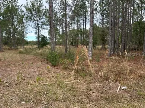 Otter Drive Lot 0570, Webster, FL 33597