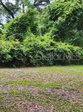 Se 108 Lane, Webster, FL 33597