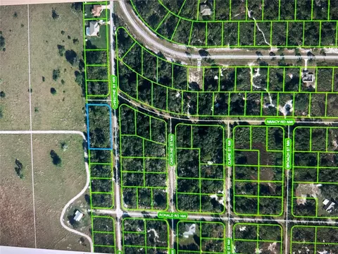 316 Christine St NW, Lake Placid, FL 33852