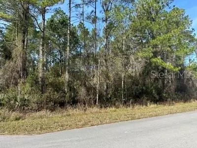 Paradise Lakes Avenue, Georgetown, FL 32139