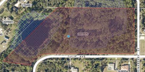 Tulip Avenue, Eustis, FL 32736
