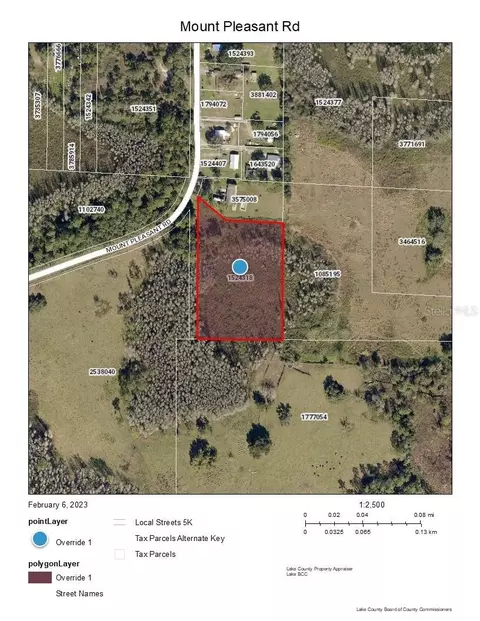 Mount Pleasant Road, Groveland, FL 34736