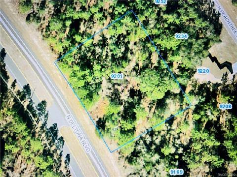 9201 N Deltona Blvd, Citrus Springs, FL 34434