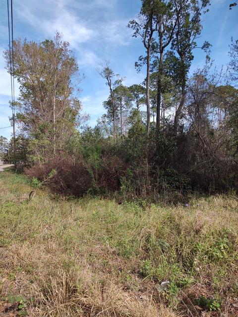 Coronado Road, Leesburg, FL 34788