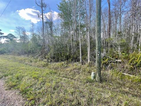 Jupiter Drive, Saint Cloud, FL 34773