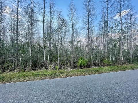 Luna Drive, Saint Cloud, FL 34773