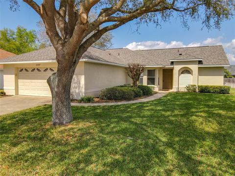 2497 W Moonlight Ln, Eustis, FL 32726 photo 1