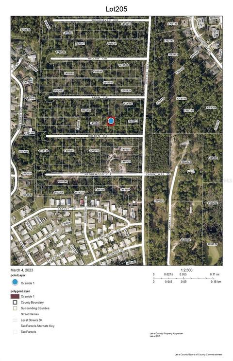 Sunrise Lot 205 Boulevard, Mount Dora, FL 32757
