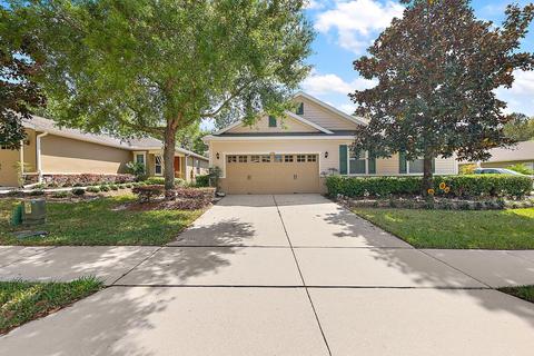 21916 Belgian Ct, Mount Dora, FL 32757