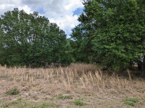 Tbd S Hwy 25, Weirsdale, FL 32195