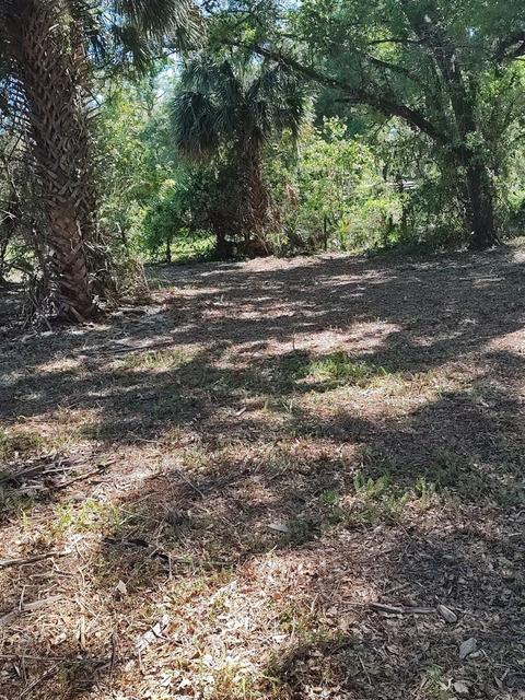 38310 Deerwoods Dr, Eustis, FL 32736 photo 1
