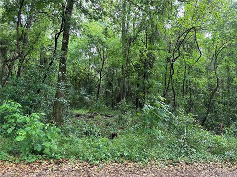 44 Th Ave, Belleview, FL 34420