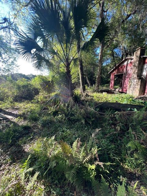11440 SW 42nd Ter, Webster, FL 33597