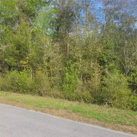 1997 SW Eagle Dr, Dunnellon, FL 34431