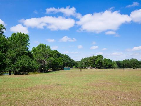 13663 Cr 772c, Webster, FL 33597 photo 1