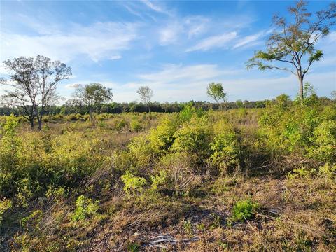 NE 106 Terrace, Bronson, FL 32621