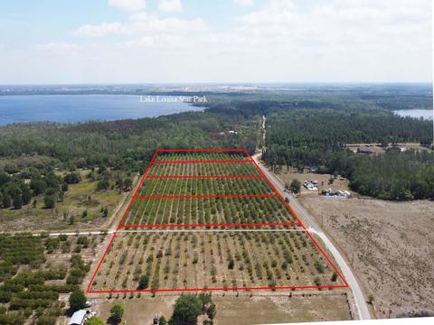 Lake Nellie Road, Clermont, FL 34711