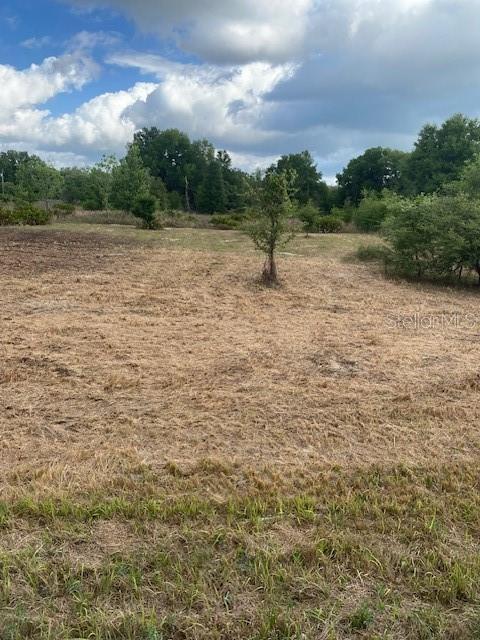 33059 Square Stone St, Webster, FL 33597
