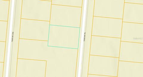 Fisher Way Trail, Ocklawaha, FL 32179