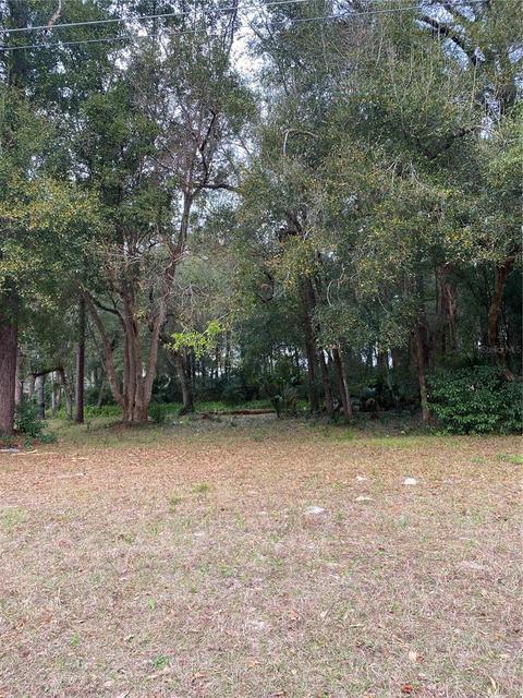 Exmoor Drive, Mount Plymouth, FL 32776