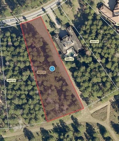 16808 Vinci Way, Montverde, FL 34756