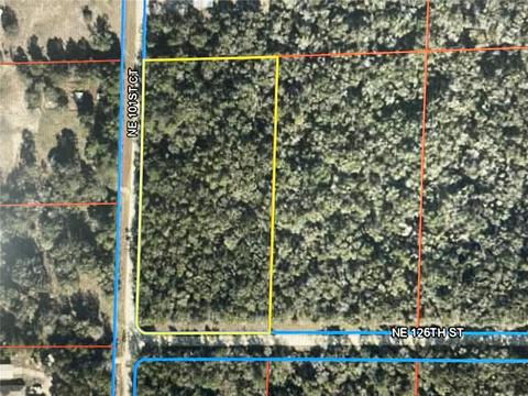 12681 NE 101 Ct, Archer, FL 32618