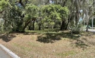 1001 Lincoln Ave, Mount Dora, FL 32757