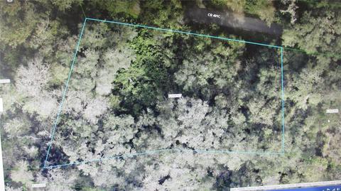 Cr 401 C, Lake Panasoffkee, FL 33538